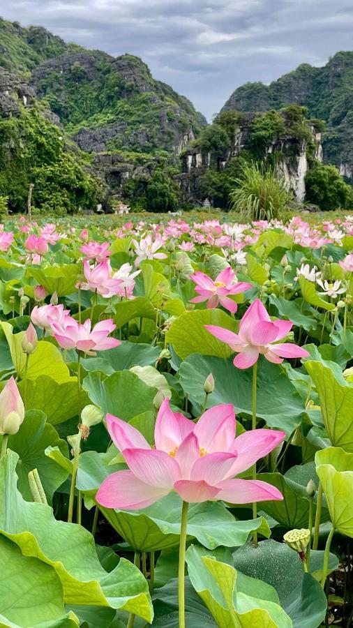 Hanoi Holiday Hotel ภายนอก รูปภาพ